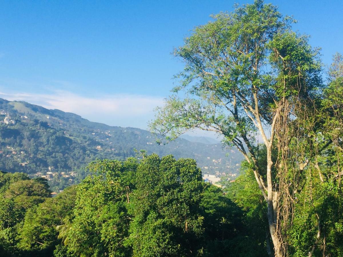 Selyna Sky Terrace Bed and Breakfast Kandy Eksteriør billede