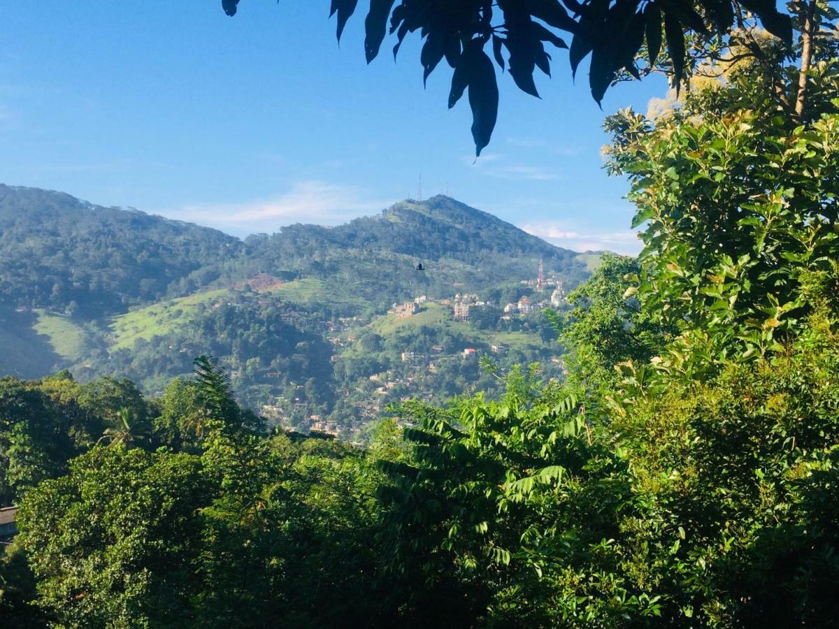 Selyna Sky Terrace Bed and Breakfast Kandy Eksteriør billede