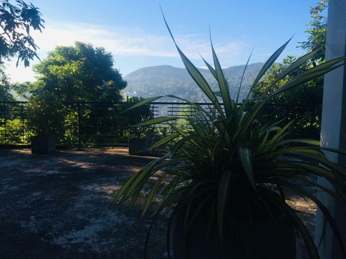 Selyna Sky Terrace Bed and Breakfast Kandy Eksteriør billede